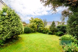 Photo 7- click for photo gallery